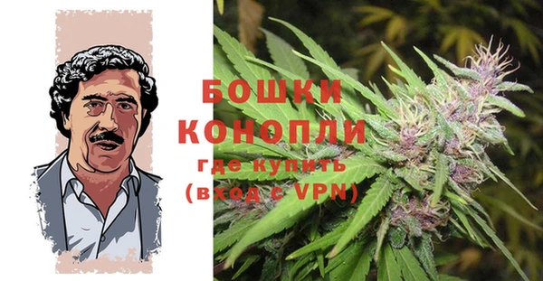 хмурый Богородск